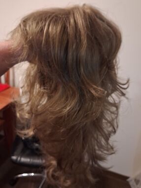 SOLD Natural Light Brown Lace Front Paula Young Layered Women's Wig